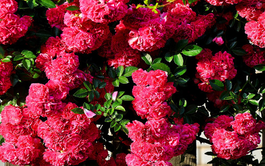 525649 (a): :2560x1600